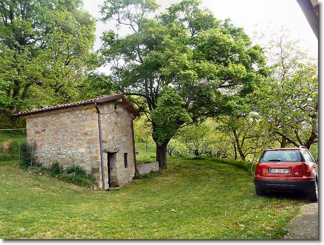 Clicca per scorrere le foto originali ingrandite