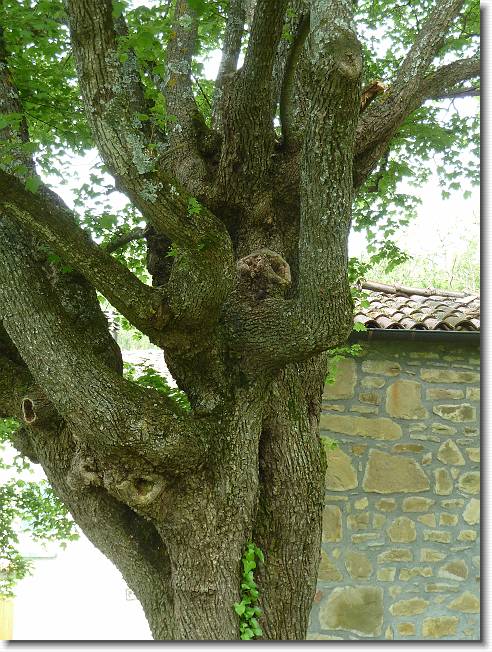Clicca per scorrere le foto originali ingrandite