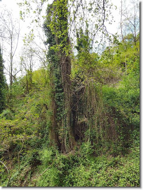 Clicca per scorrere le foto originali ingrandite