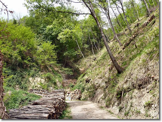 Clicca per scorrere le foto originali ingrandite
