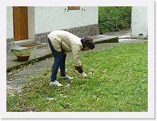 P1020873 * 2048 x 1536 * (1.61MB)