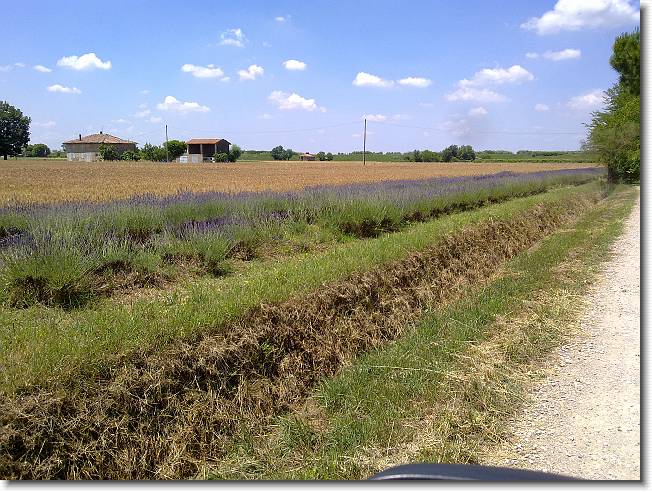 Clicca per scorrere le foto originali ingrandite