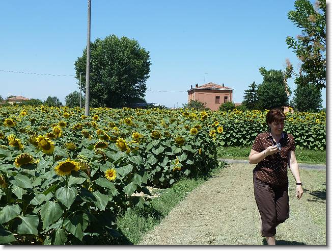 Clicca per scorrere le foto originali ingrandite