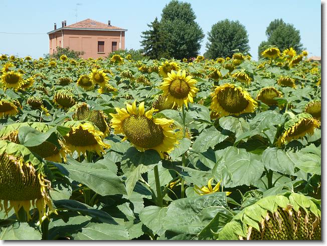 Clicca per scorrere le foto originali ingrandite