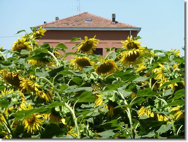Clicca per scorrere le foto originali ingrandite