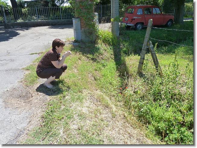 Clicca per scorrere le foto originali ingrandite