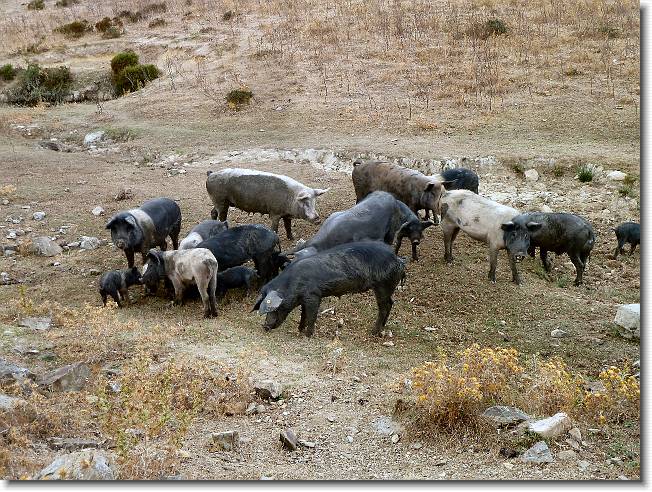 Clicca per scorrere le foto originali ingrandite