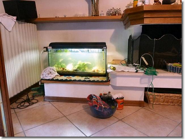 Clicca per scorrere le foto originali ingrandite