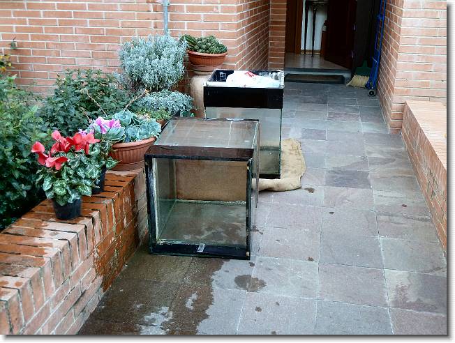 Clicca per scorrere le foto originali ingrandite