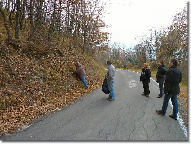 Clicca per scorrere le foto originali ingrandite