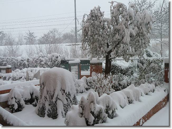 Clicca per scorrere le foto originali ingrandite