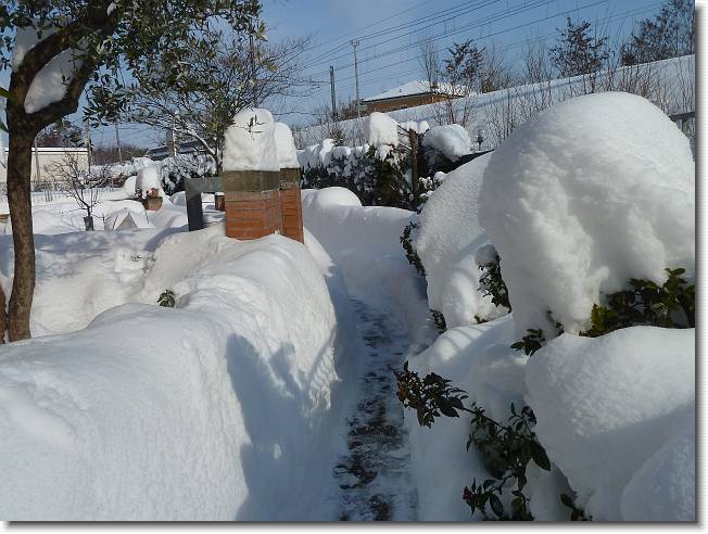 Clicca per scorrere le foto originali ingrandite