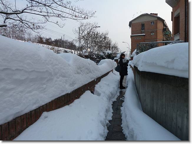 Clicca per scorrere le foto originali ingrandite