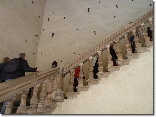 Clicca per scorrere le foto originali ingrandite