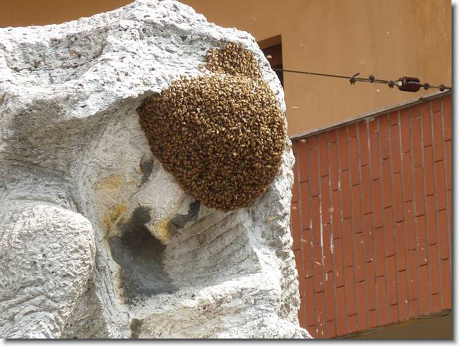 Clicca per scorrere le foto originali ingrandite