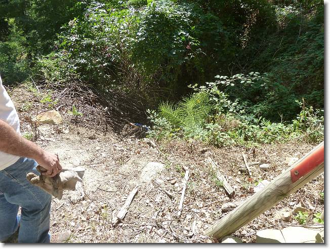 Clicca per scorrere le foto originali ingrandite