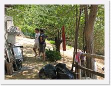 giunchi_01 * 2592 x 1944 * (2.44MB)