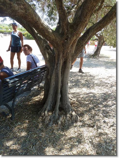 Clicca per scorrere le foto originali ingrandite