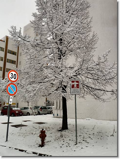 Clicca per scorrere le foto originali ingrandite