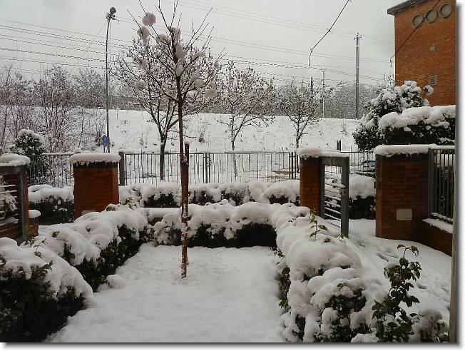 Clicca per scorrere le foto originali ingrandite