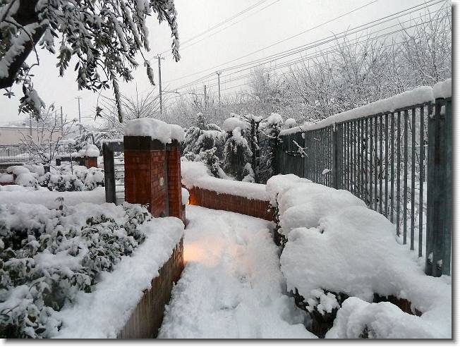 Clicca per scorrere le foto originali ingrandite