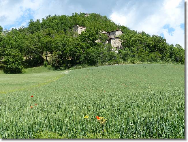 Clicca per scorrere le foto originali ingrandite