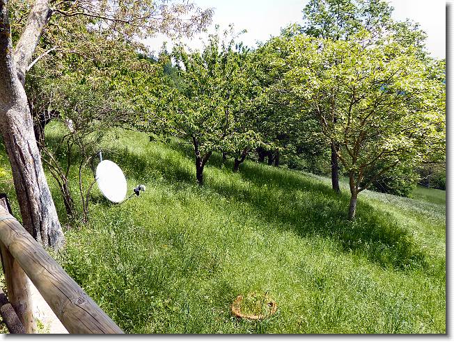 Clicca per scorrere le foto originali ingrandite