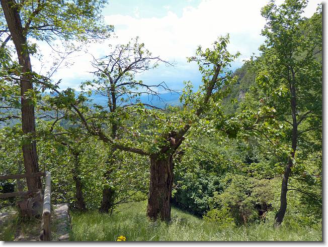 Clicca per scorrere le foto originali ingrandite