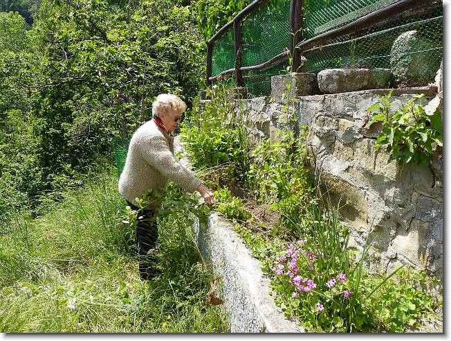 Clicca per scorrere le foto originali ingrandite