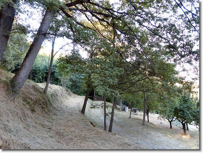 Clicca per scorrere le foto originali ingrandite