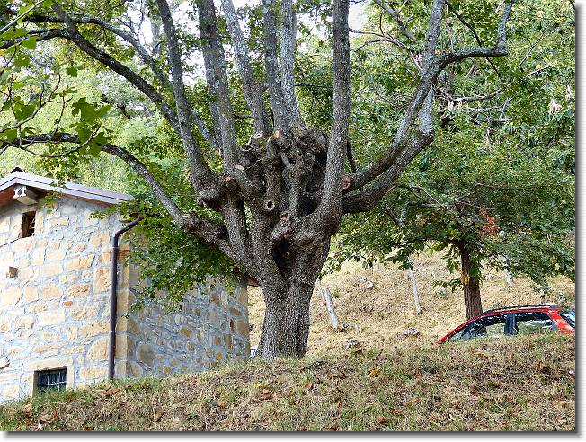 Clicca per scorrere le foto originali ingrandite