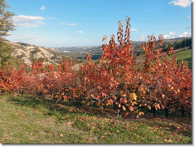 Clicca per scorrere le foto originali ingrandite