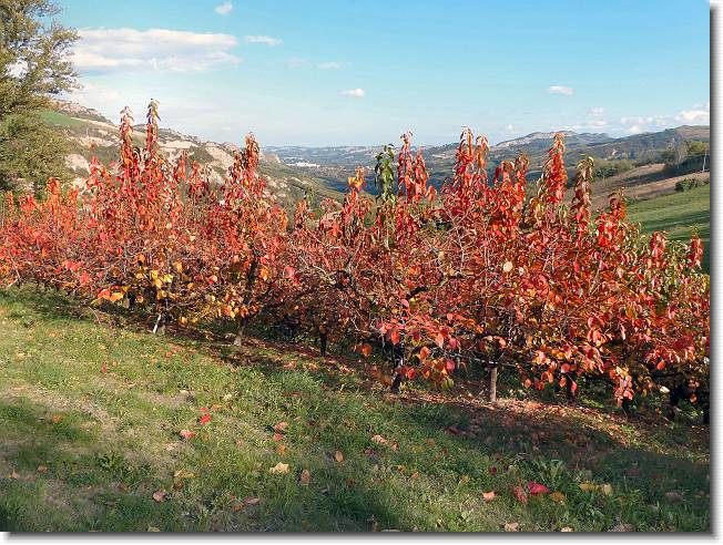 Clicca per scorrere le foto originali ingrandite