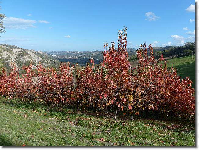 Clicca per scorrere le foto originali ingrandite