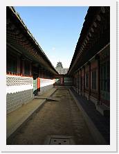ZIMG_0306 * 3264 x 4352 * (2.03MB)
