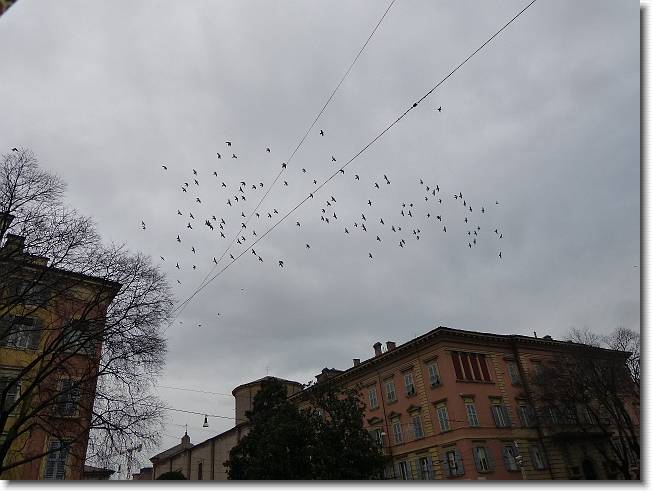 Clicca per scorrere le foto originali ingrandite
