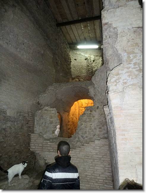 Clicca per scorrere le foto originali ingrandite