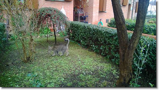 Clicca per scorrere le foto originali ingrandite
