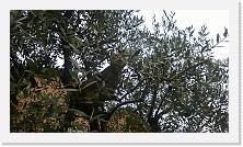 WP_20140201_003 * 3552 x 2000 * (3.14MB)