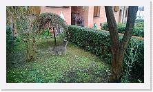 WP_20140201_004 * 3552 x 2000 * (3.99MB)