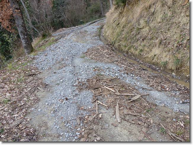 Clicca per scorrere le foto originali ingrandite