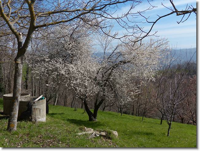 Clicca per scorrere le foto originali ingrandite