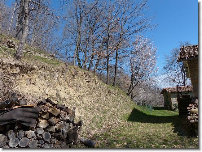 Clicca per scorrere le foto originali ingrandite