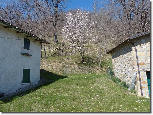 Clicca per scorrere le foto originali ingrandite