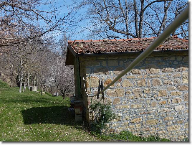 Clicca per scorrere le foto originali ingrandite