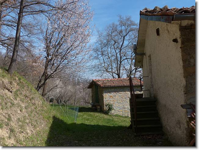 Clicca per scorrere le foto originali ingrandite