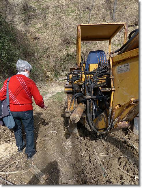 Clicca per scorrere le foto originali ingrandite