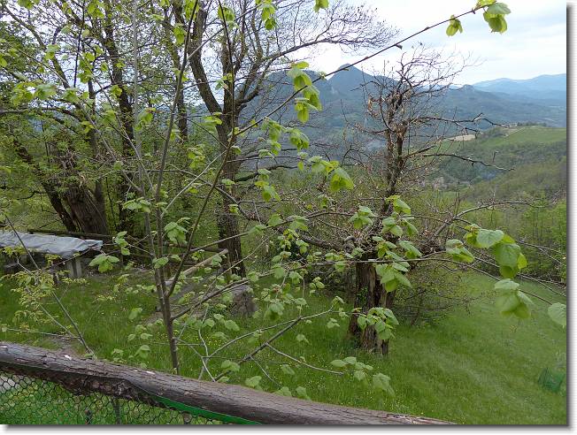 Clicca per scorrere le foto originali ingrandite