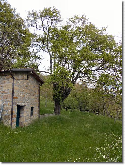 Clicca per scorrere le foto originali ingrandite