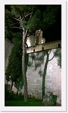 BWP_20140429_005 * 2000 x 3552 * (2.13MB)